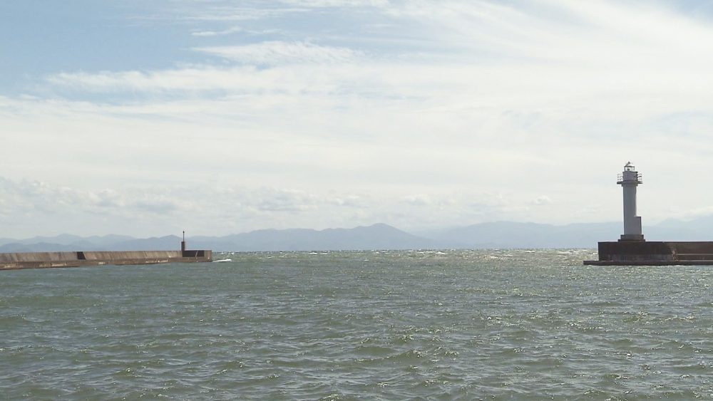 春にはイルカウォッチングも