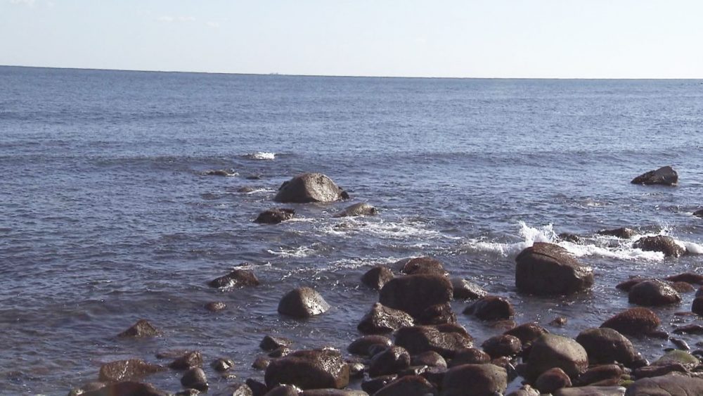 海の方の石をよく見ると