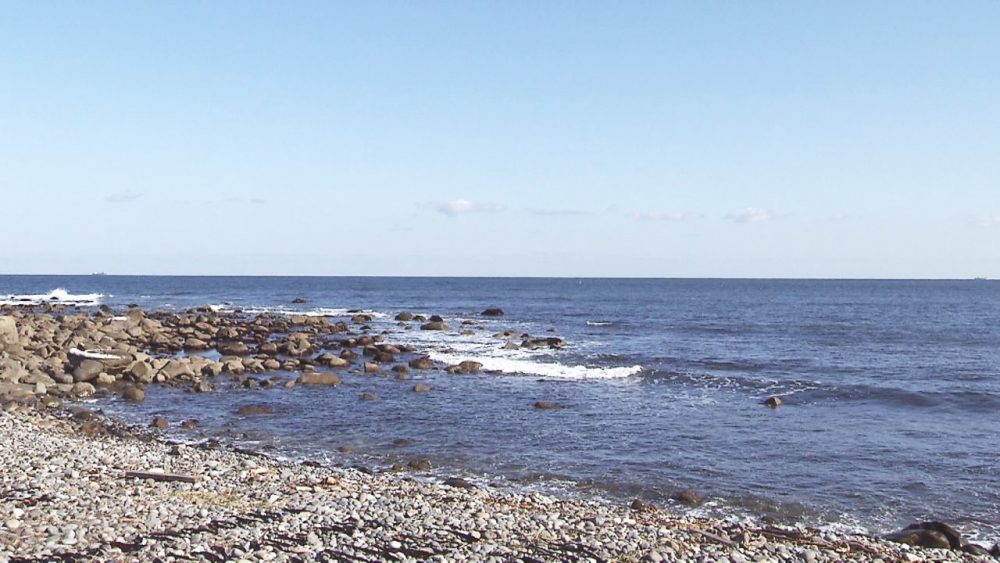 ゆったりとお散歩も♪