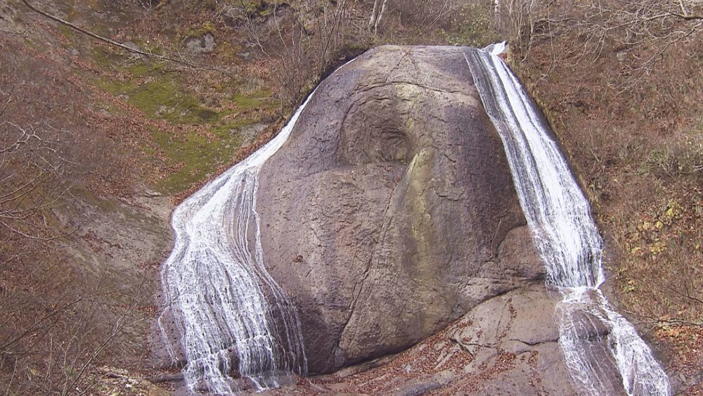 スヌーピーの形にも！？