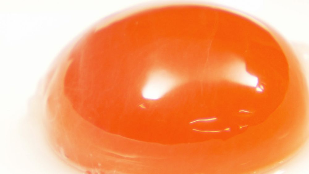 蓬田村・坂本養鶏の真っ赤卵を使用