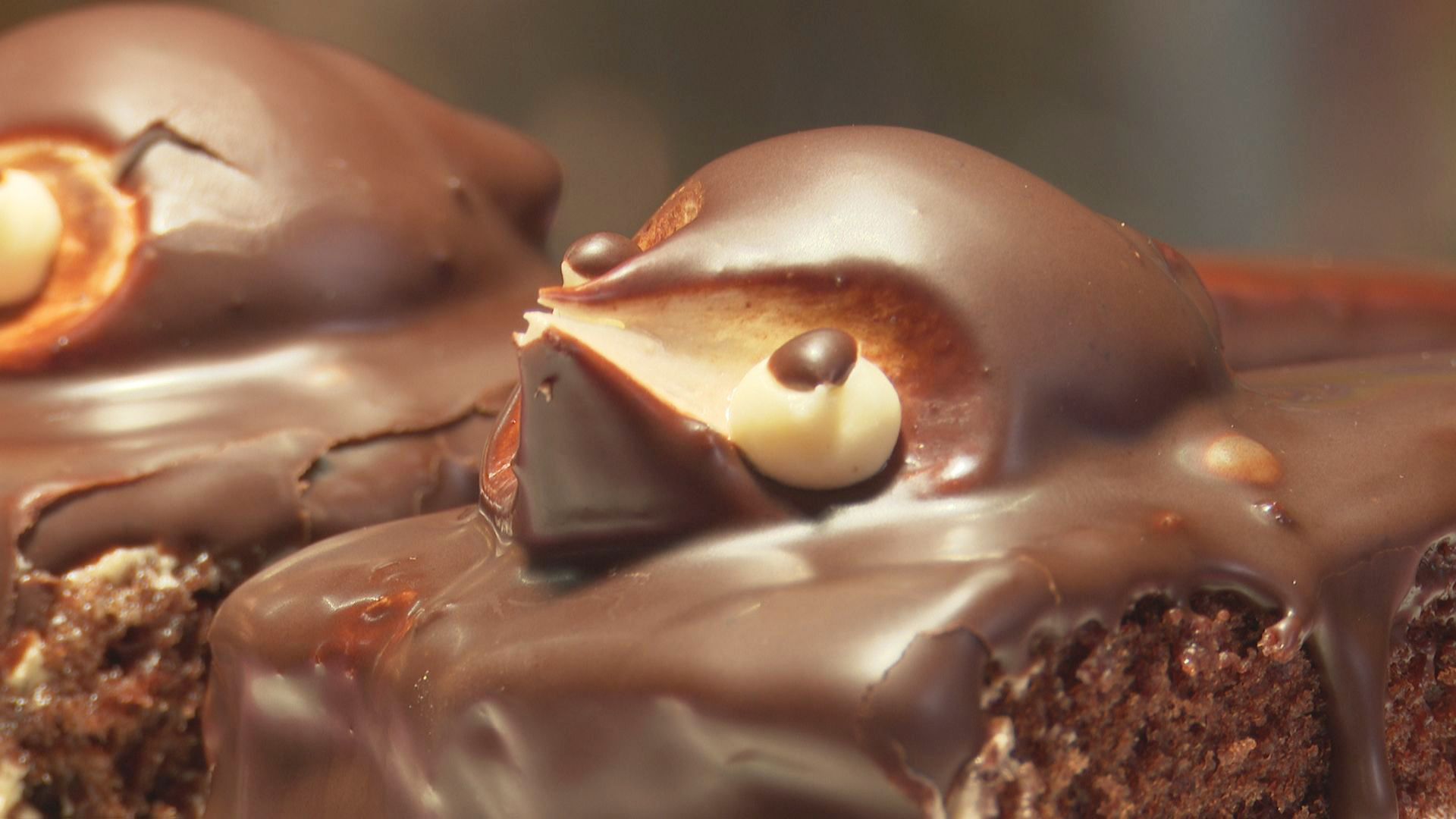 レトロなかわいさ！愛される昔ながらの「たぬきケーキ」 [チボリ洋菓子