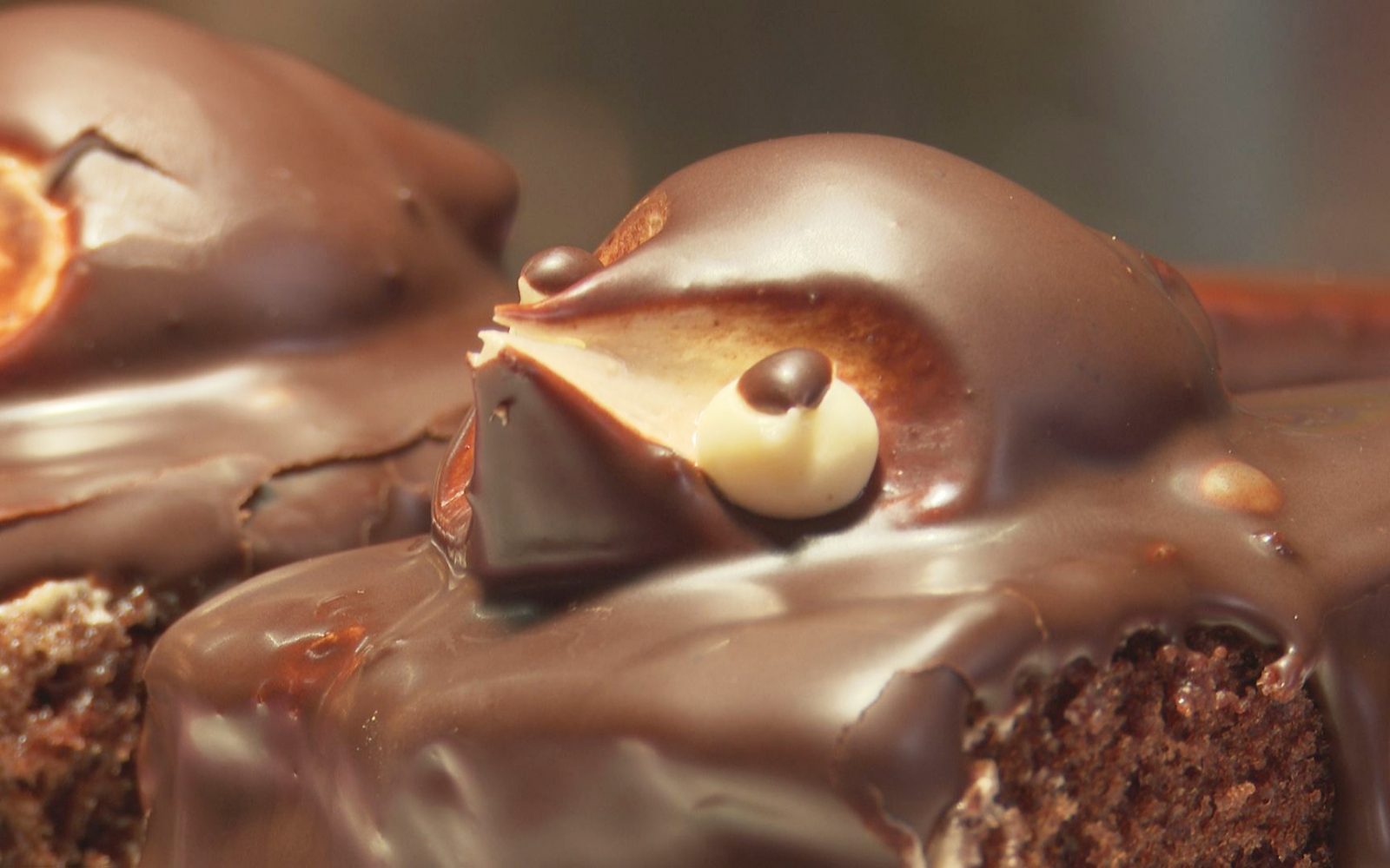 レトロなかわいさ！愛される昔ながらの「たぬきケーキ」