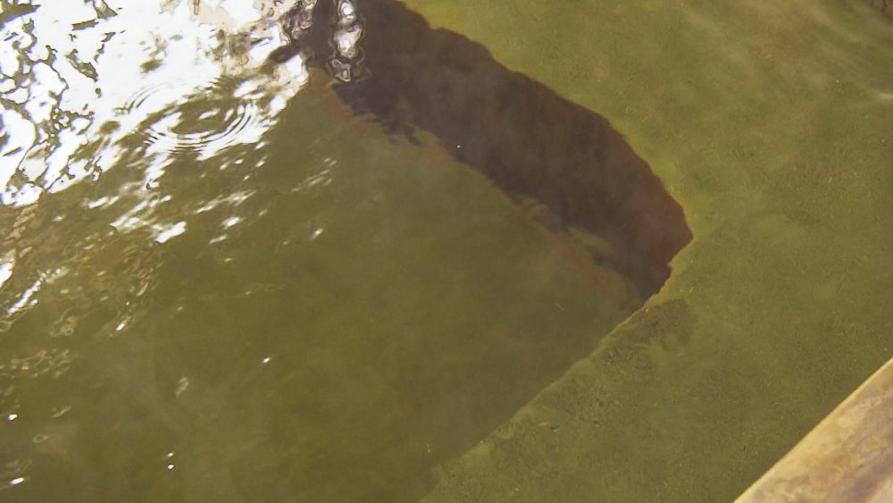 多くの温泉ファンを魅了