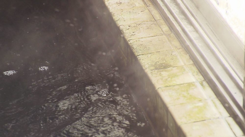 みたらしのような色ととろみ