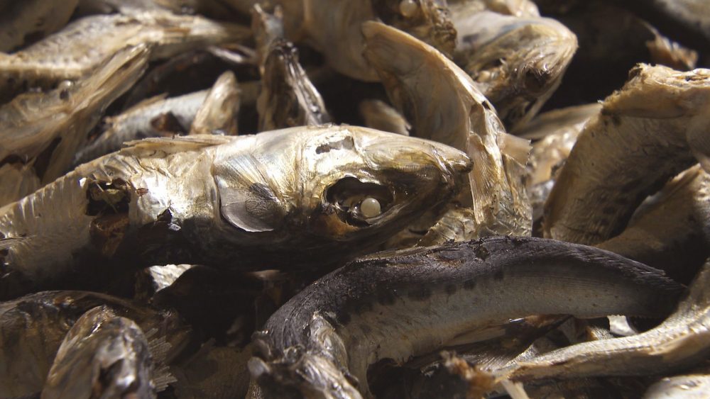 ひらこ煮干し中心のだし