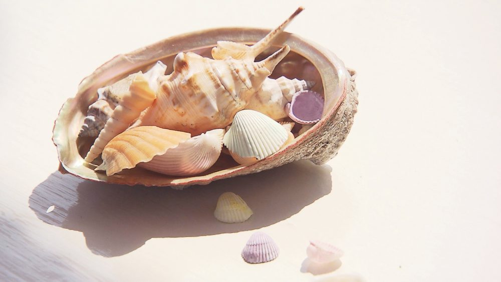 テラス席で海風を感じながら