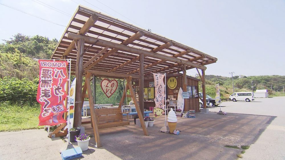 ブランコで写真撮影も