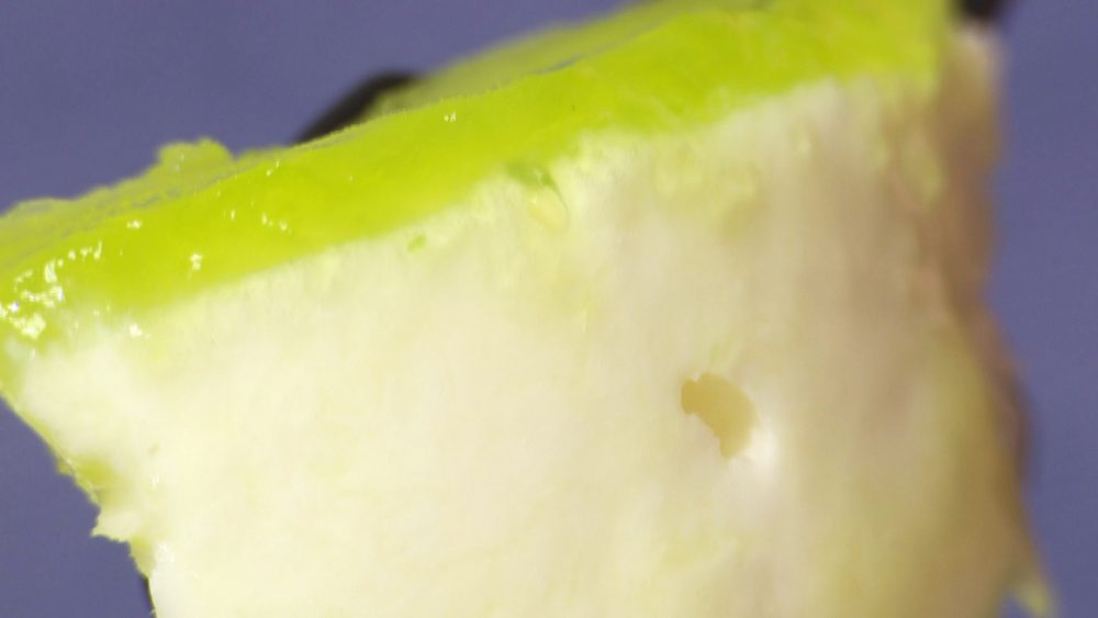 レモンがさっぱりとした味わい