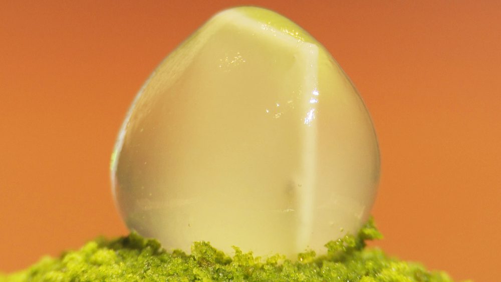 雫をイメージした葛切りが