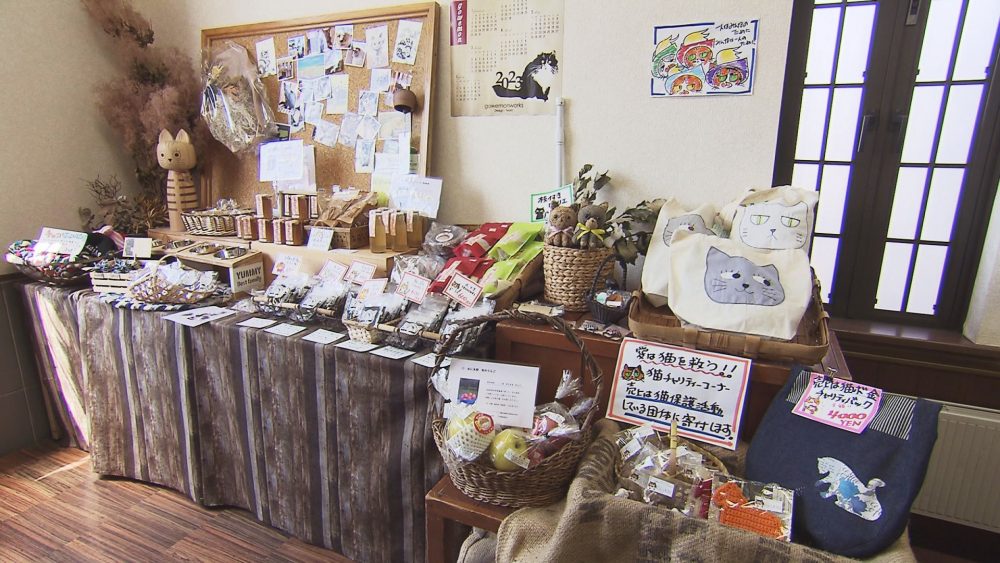 店内には猫ちゃんがいっぱい