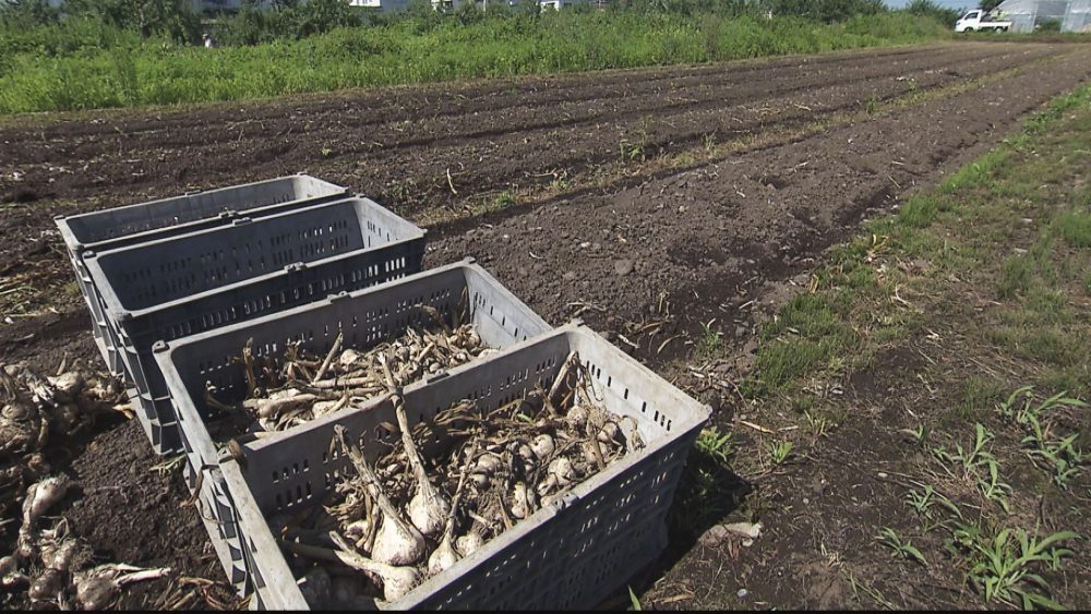 にんにく農家のお店