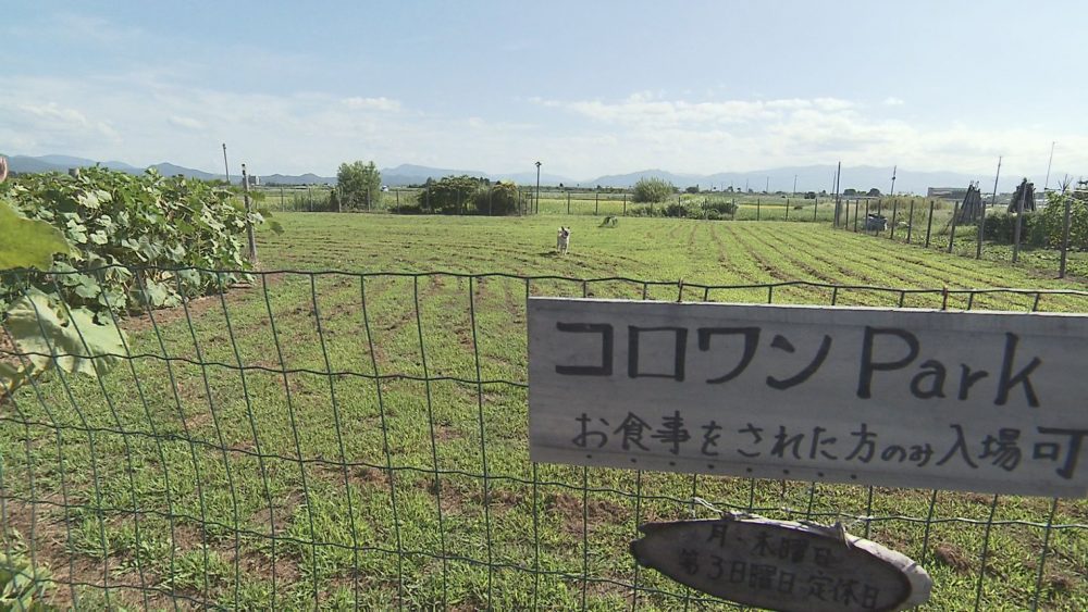 ドックランも利用可能