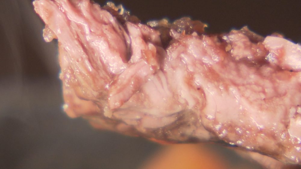 ジューシーな食感にソースが合う