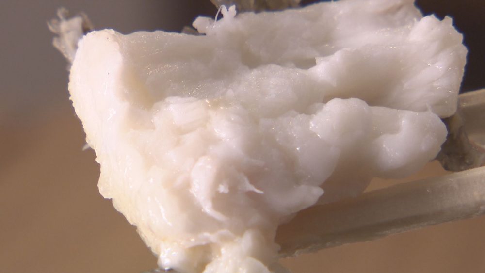 素材を生かした味付け