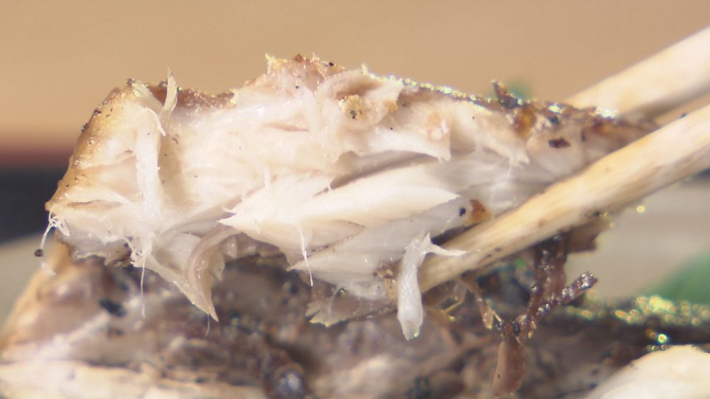 じっくり焼いたサバは味が凝縮