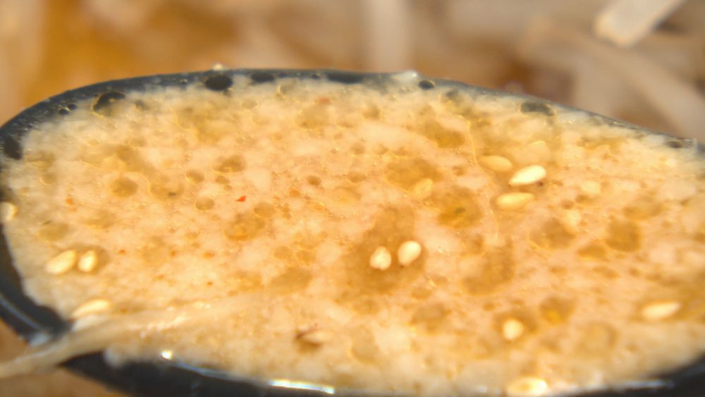 津軽人の舌に合わせた一杯