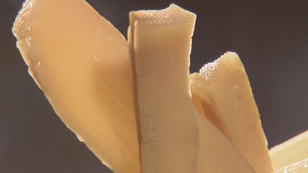 少し甘めのメンマは伝統の味