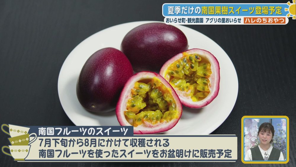 夏だけ味わえる南国果樹スイーツ