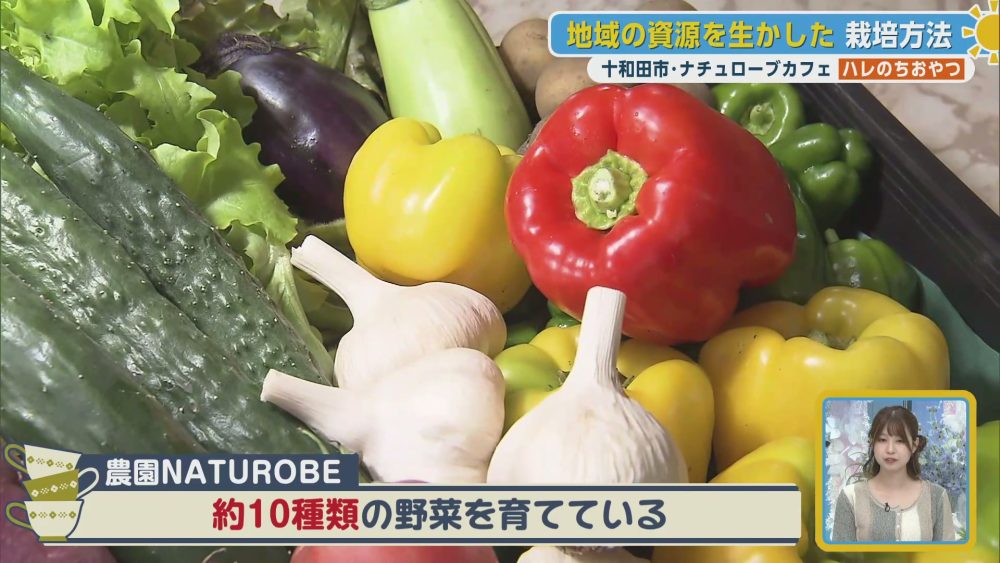 土づくりからこだわる農園NATUROBEの新鮮野菜